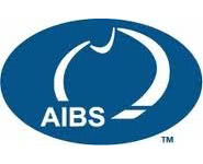 Australian Institute Of Building Surveyors (AIBS)
